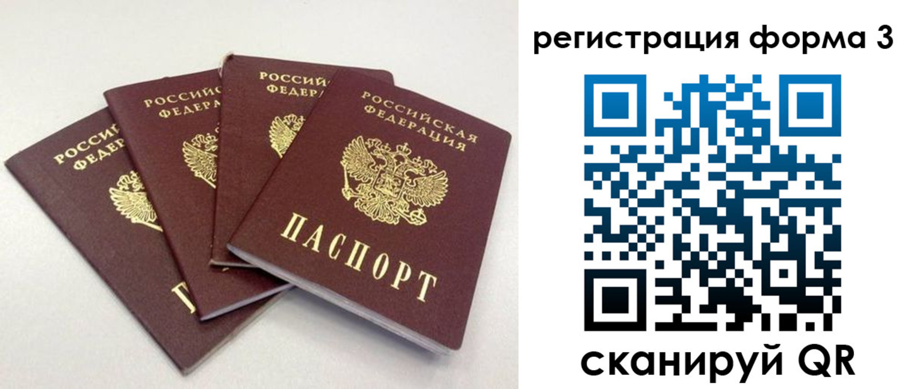 прописка 2025 в Выборге